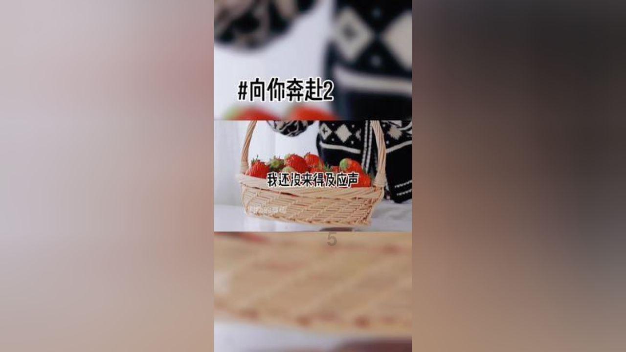 救援旅行男孩