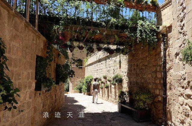 彼得比尔特379拼图