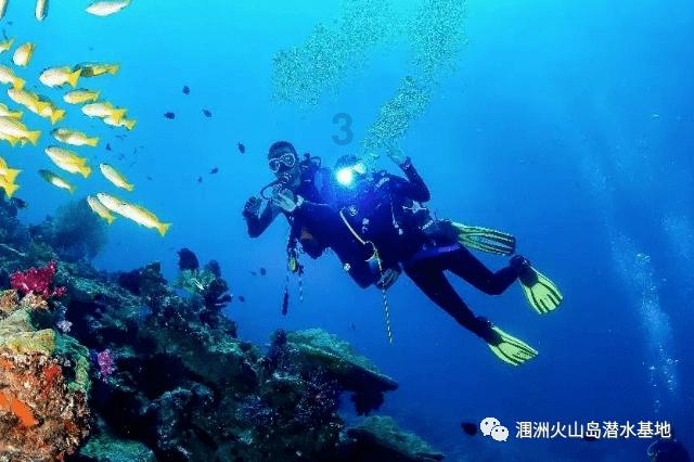 （乡村行·看振兴）山西临猗：“蟹”逅充足电 助力产业兴