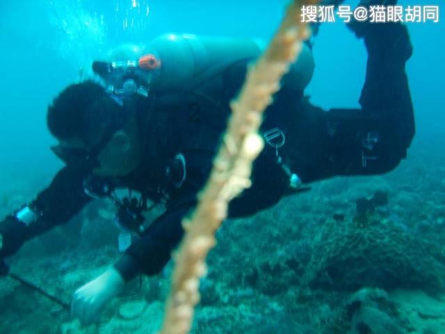 复活节拼拼看