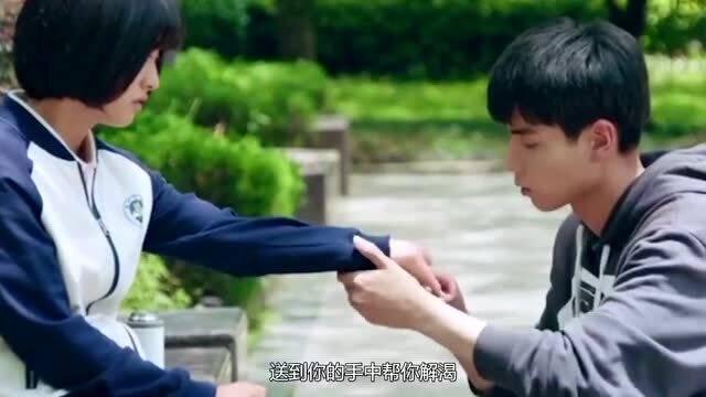 癌细胞对糖、蛋白质和脂肪的需求是相互关联的，而且是动态变化的