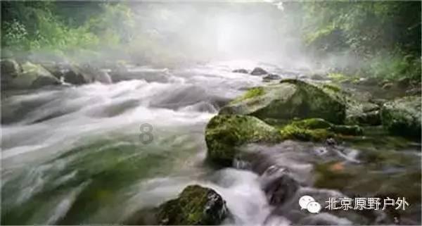 给小怪喂食